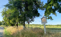 Kvasice 2