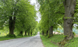 Světlá 2