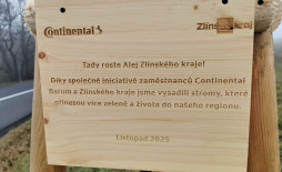 WhatsApp Image 2025-11-19 at 09.48.47