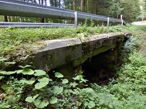 Původní most 489-009 u Držkové / foto: archiv ŘSZK